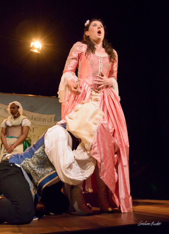 Beaux Stratagem 11