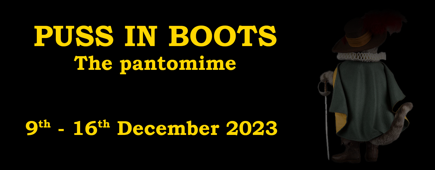 Puss in Boots 1